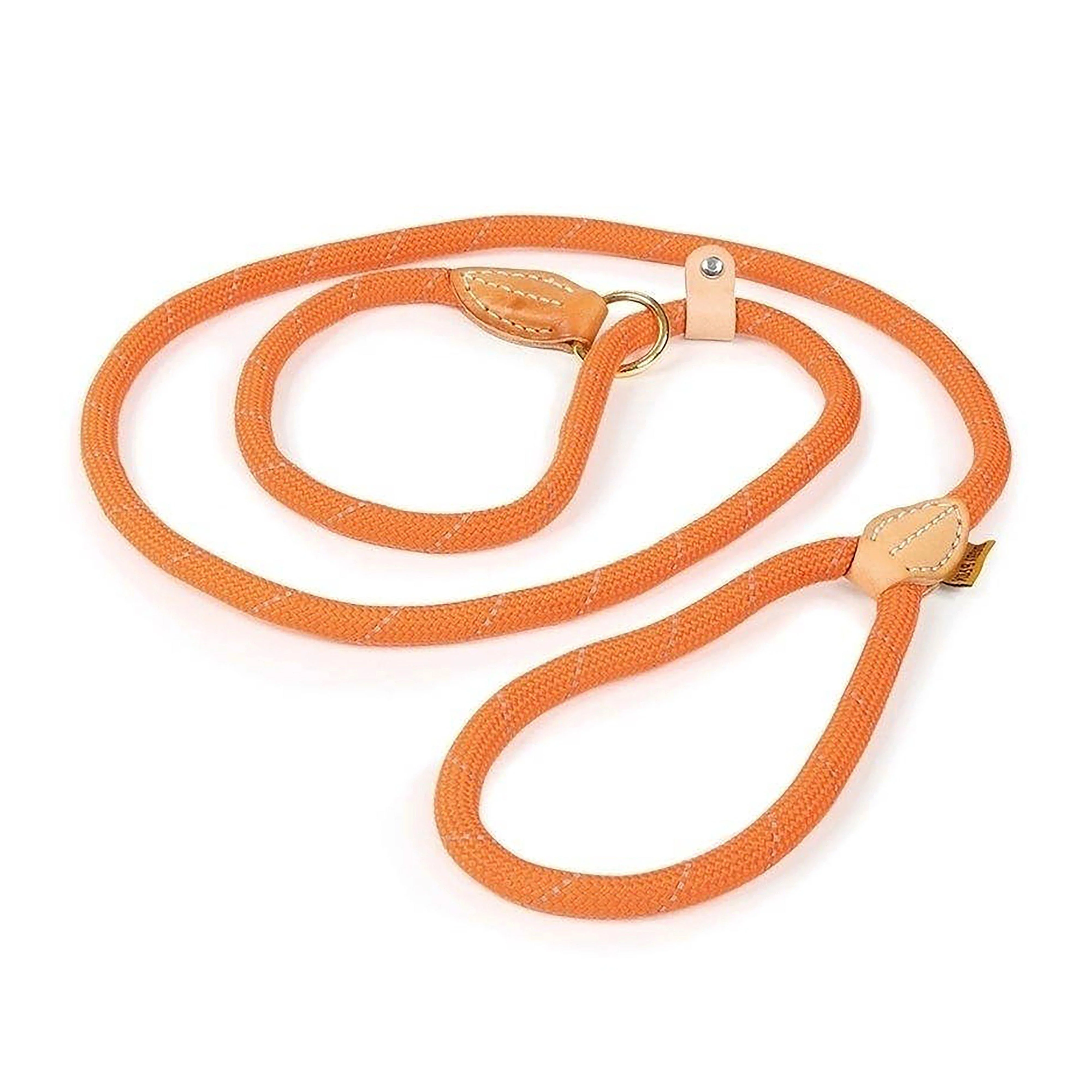 Digby & Fox Reflective Slip Dog Lead - Image 2