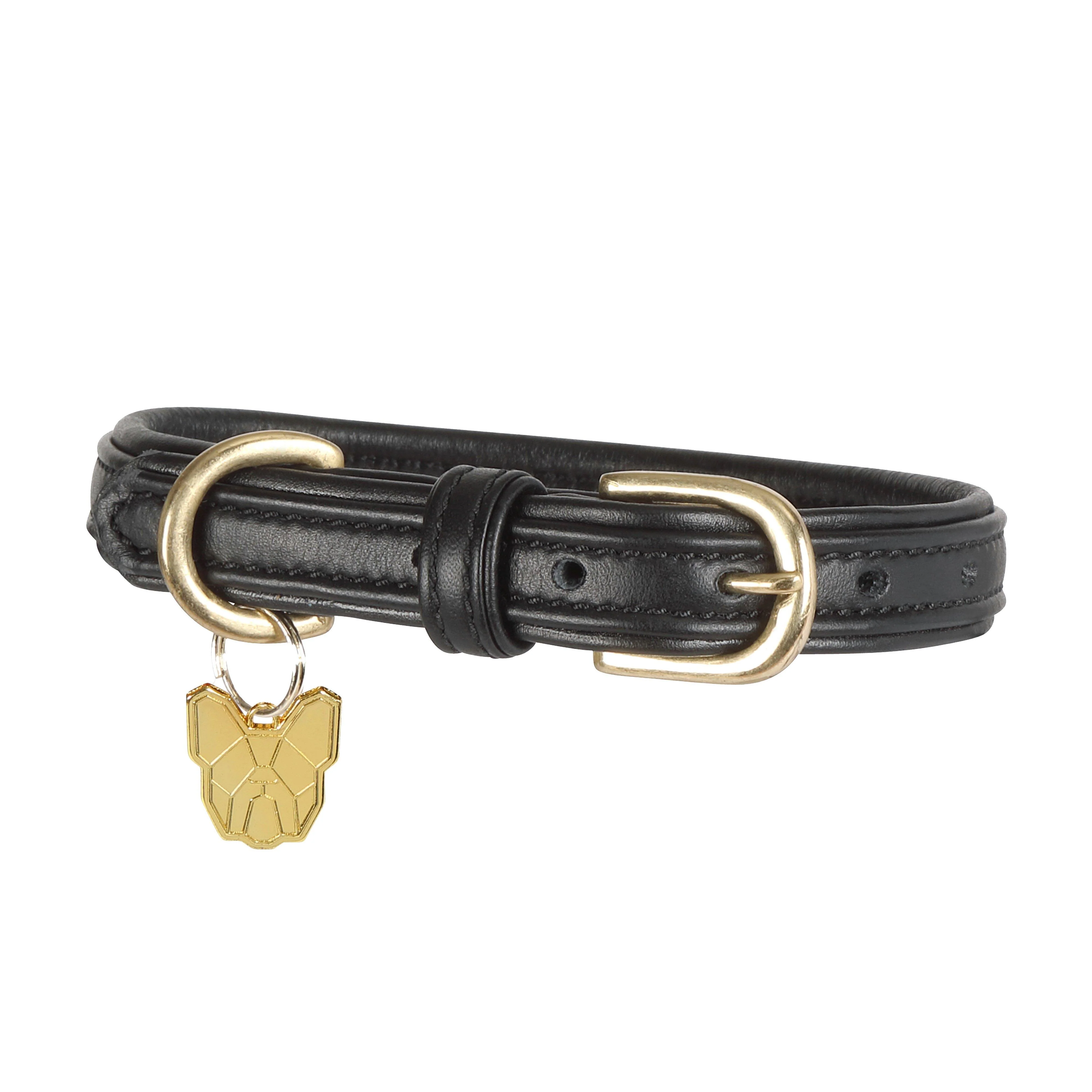 Padded Leather Dog Collar - Image 2