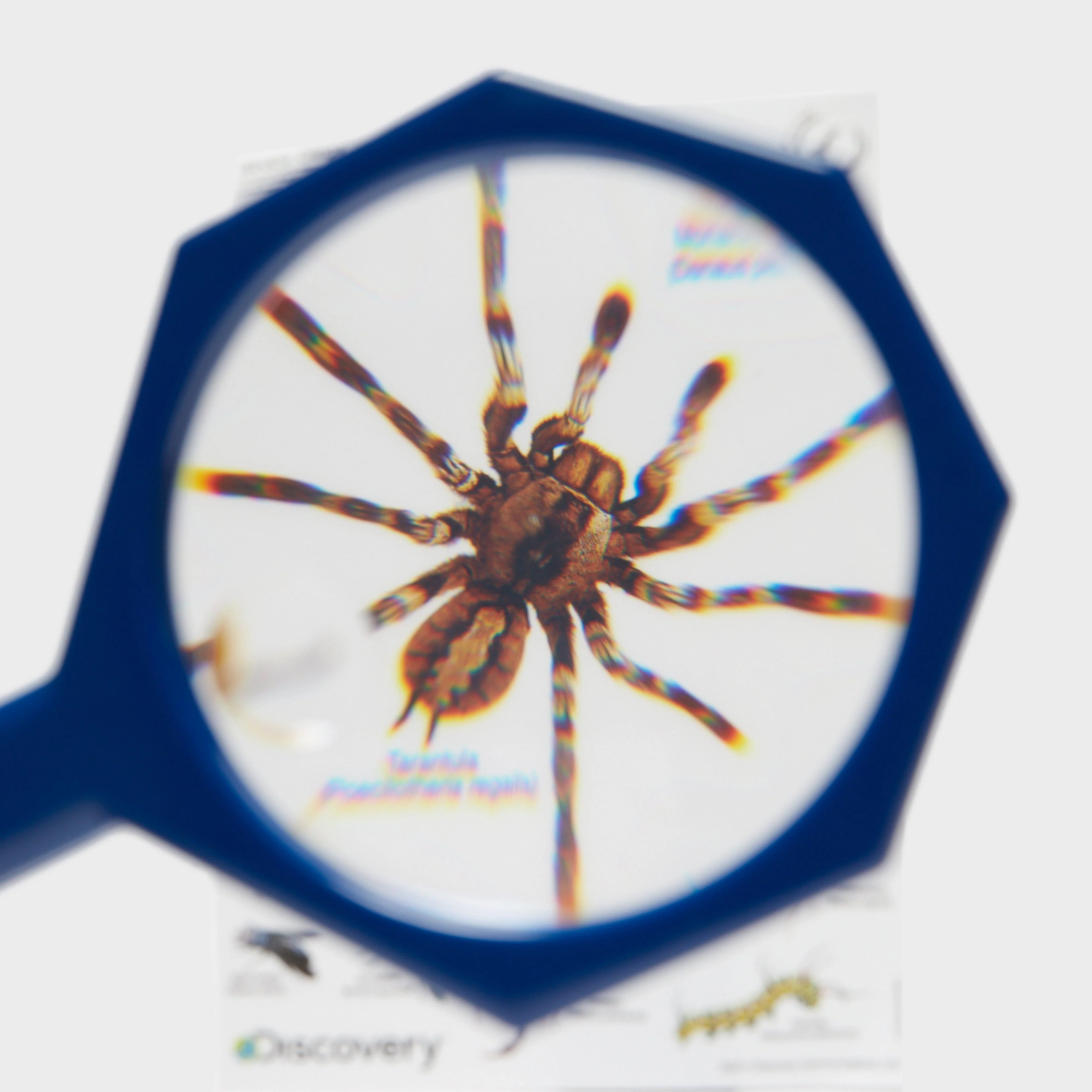 Bug Barn - Image 3