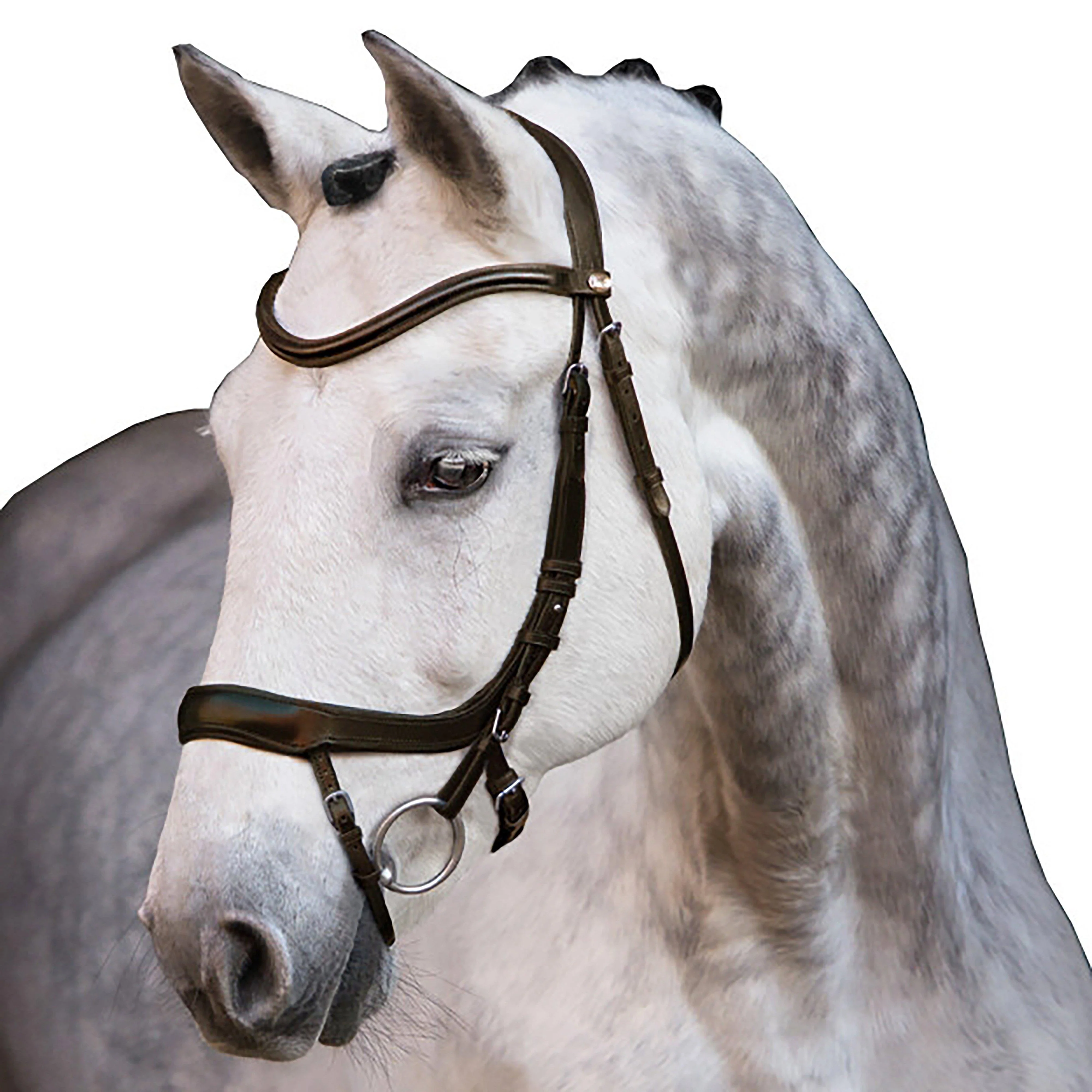 Equitus Alpha Bridle in Espresso - Image 4